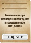 Безопасность при проведении новогодних и рождественских праздников